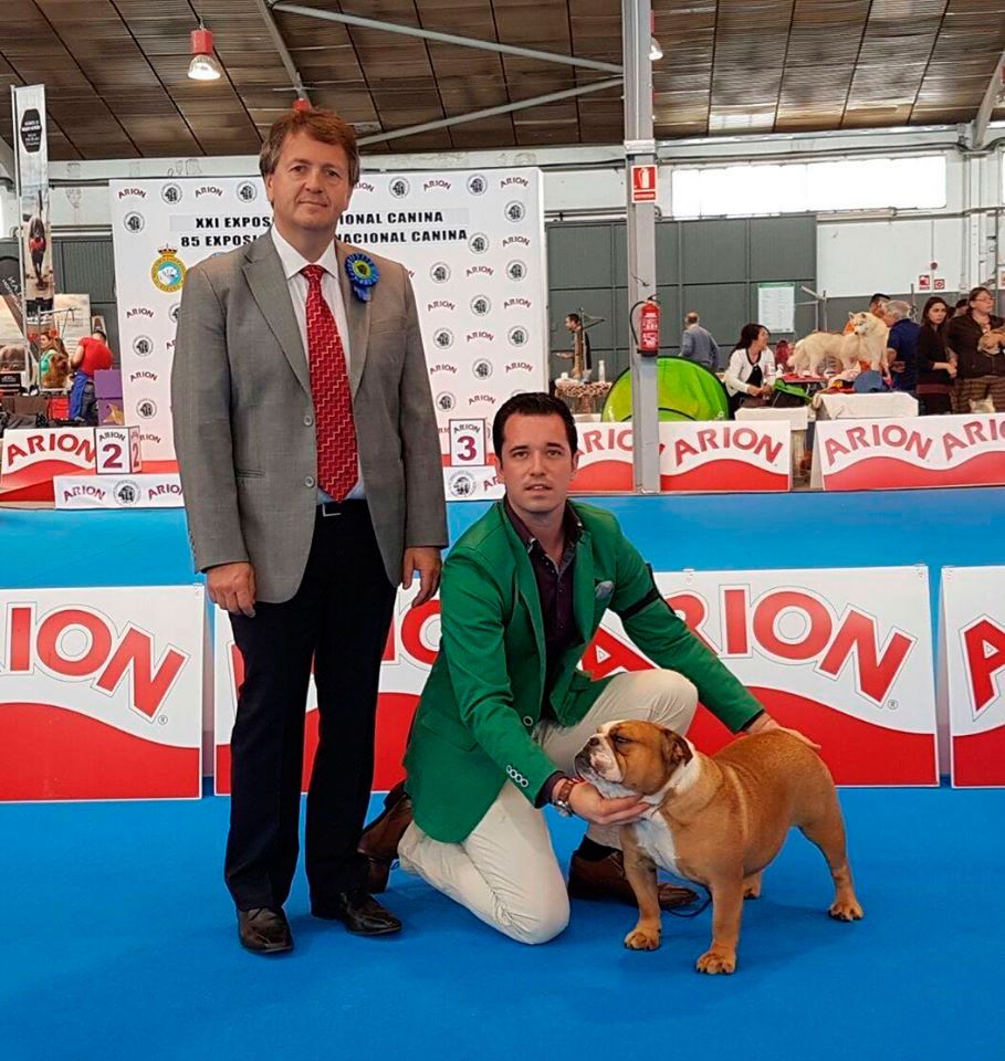 National dog show of Barcelona (Spain) 2016