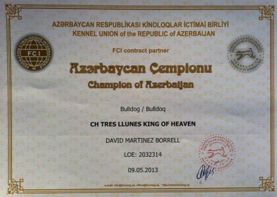 Campeonato de Azerbaijan 2013 Bulldog CH Tres LLunes King Of Heaven