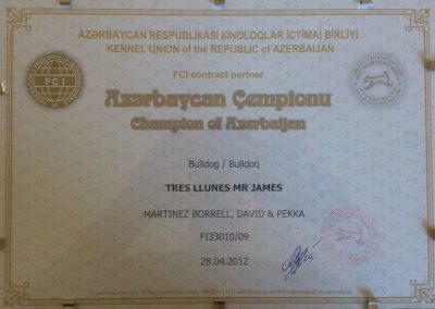Campeonato de Azerbaijan 2012 Bulldog Tres LLunes King Mr James