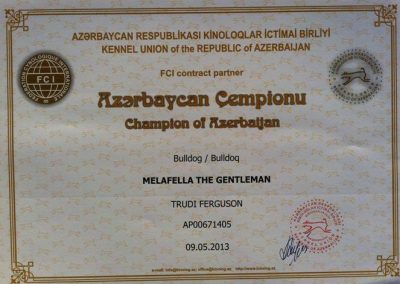 Campeonato de Azerbaijan 2013 Bulldog Melafella The Gentleman