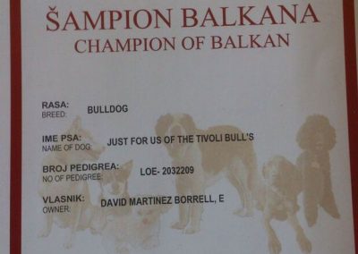 Campeonato Balcanes Bulldog Just for us the Tivoli Bull's 2012