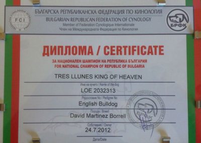 Bulldog Tres Llunes king Of Heaven Campeonato Bulgaria 2012