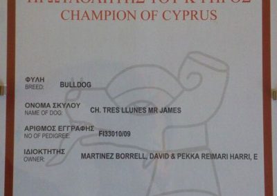 Bulldog Just For Us Of The Tivoli Bull's Campeonato Chipre 2012