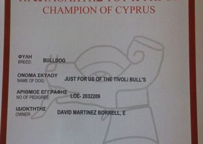 Bulldog CH. Tres Llunes Mr. James Campeonato Chipre 2012