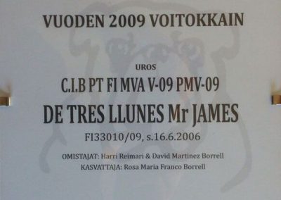 Tres Llunes Mr James Bulldog Inglés del año Finlandia 2009