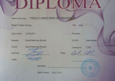 Bulldog Inglés "Tres Llunes King Of Heaven" Diploma Georgian Cup 2012
