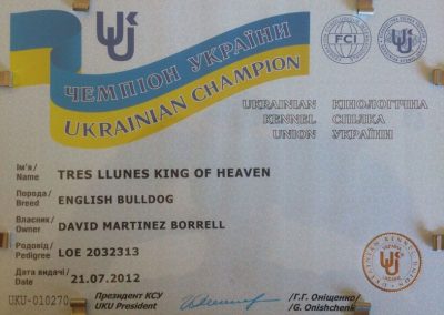 Bulldog Inglés "Tres Llunes King Of Heaven" Campeón Ucrania 2012