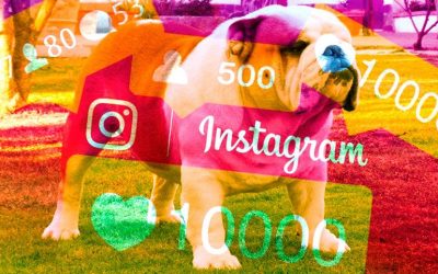Estamos de enhorabuena 10.000 seguidores en Instagram