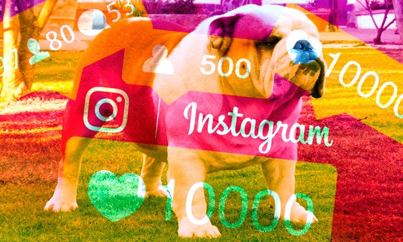 Estamos de enhorabuena 10.000 seguidores en Instagram
